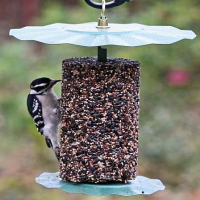 Seed Cakes, Bells, Blocks, Logs & Nuggets